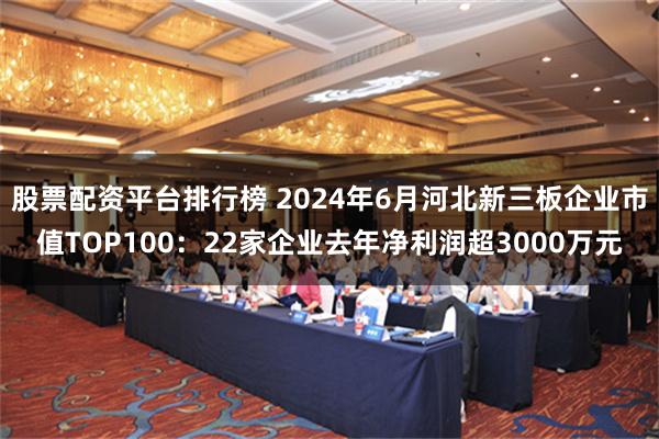 股票配资平台排行榜 2024年6月河北新三板企业市值TOP100：22家企业去年净利润超3000万元