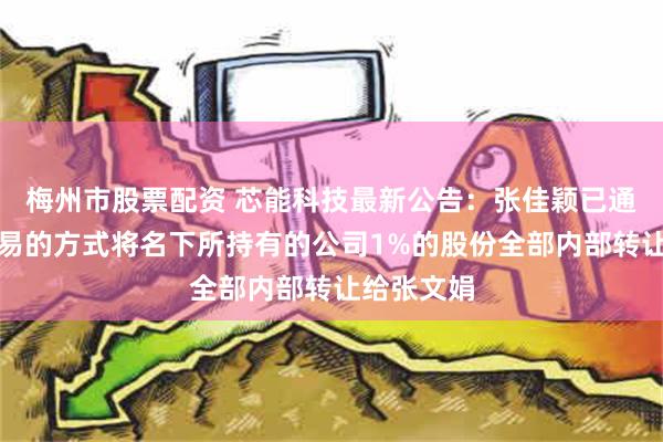 梅州市股票配资 芯能科技最新公告：张佳颖已通过大宗交易的方式将名下所持有的公司1%的股份全部内部转让给张文娟