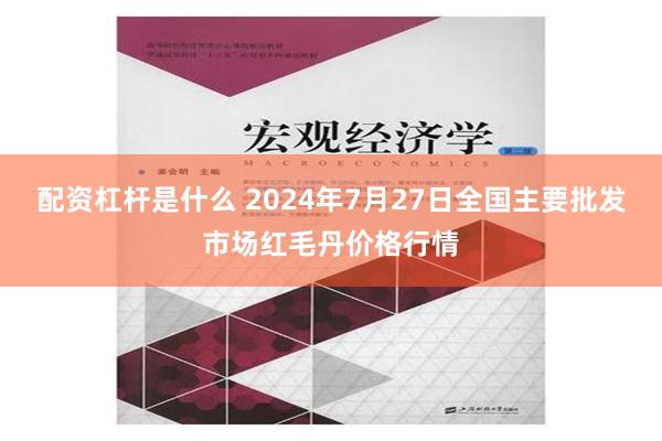 配资杠杆是什么 2024年7月27日全国主要批发市场红毛丹价格行情