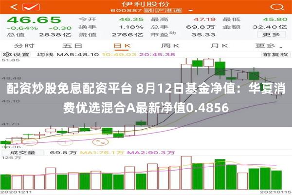 配资炒股免息配资平台 8月12日基金净值：华夏消费优选混合A最新净值0.4856