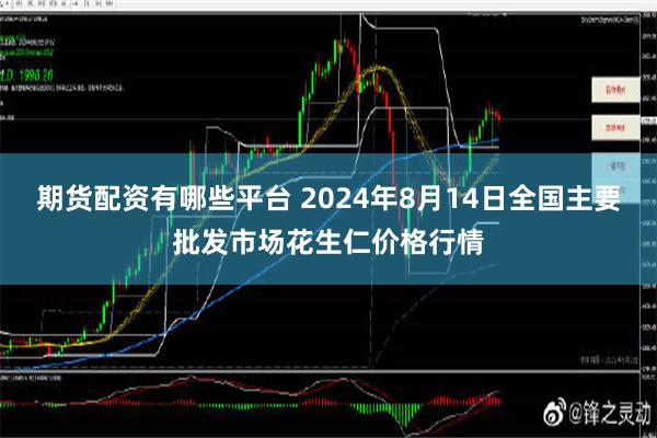 期货配资有哪些平台 2024年8月14日全国主要批发市场花生仁价格行情