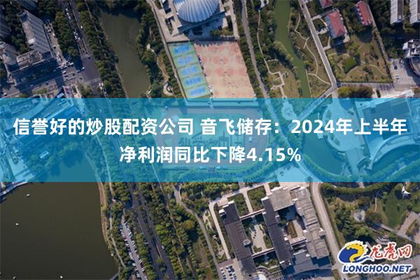 信誉好的炒股配资公司 音飞储存：2024年上半年净利润同比下降4.15%