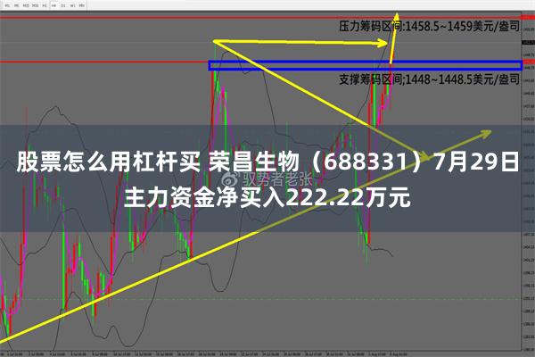 股票怎么用杠杆买 荣昌生物（688331）7月29日主力资金净买入222.22万元