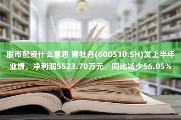 股市配资什么意思 黑牡丹(600510.SH)发上半年业绩，净利润5523.70万元，同比减少56.05%