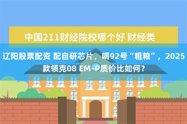 辽阳股票配资 配自研芯片，喝92号“粗粮”，2025款领克08 EM-P质价比如何？