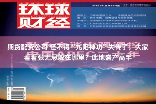 期货配资公司 怪不得“九阳神功”失传了，大家看看张无忌躲在哪里？此地盛产高手