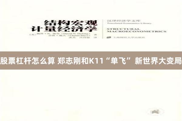 股票杠杆怎么算 郑志刚和K11“单飞” 新世界大变局