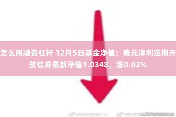 怎么用融资杠杆 12月5日基金净值：鑫元淳利定期开放债券最新净值1.0348，涨0.02%