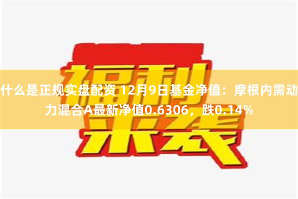 什么是正规实盘配资 12月9日基金净值：摩根内需动力混合A最新净值0.6306，跌0.14%