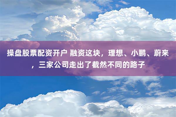 操盘股票配资开户 融资这块，理想、小鹏、蔚来，三家公司走出了截然不同的路子