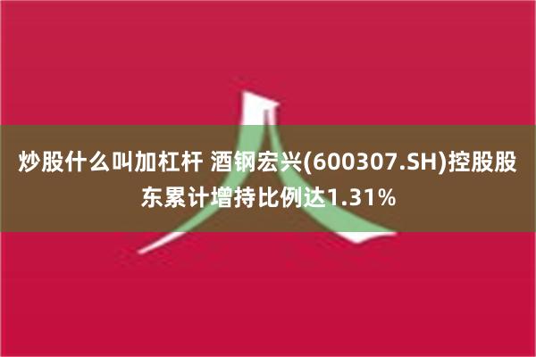 炒股什么叫加杠杆 酒钢宏兴(600307.SH)控股股东累计增持比例达1.31%