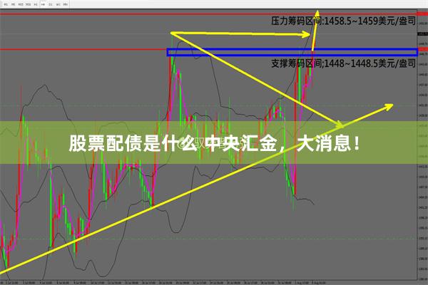 股票配债是什么 中央汇金，大消息！